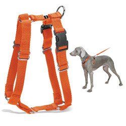 PetSafe Surefit Harness - Blaze (Petite)