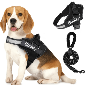 Pet Clothing Dog Couple Chest Strap Rope (Option: Black-M)