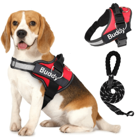 Pet Clothing Dog Couple Chest Strap Rope (Option: Red-M)